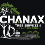 cropped-cropped-ChatGPT-Image-8-jul-2026-17_35_36.png
